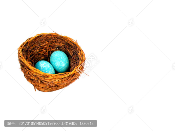 蛋和巢