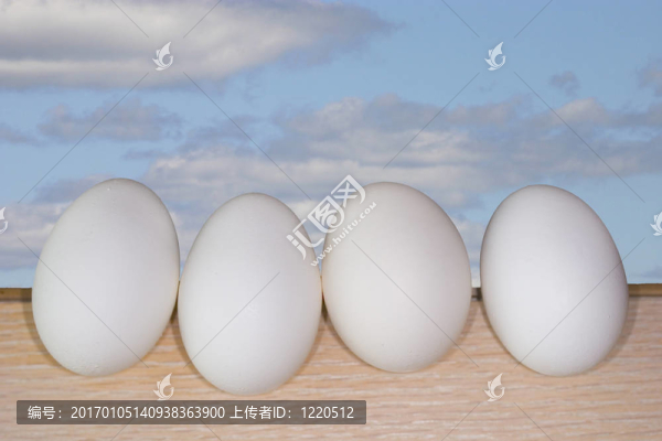 白色的2