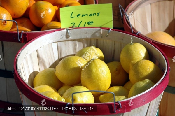 檸檬出售