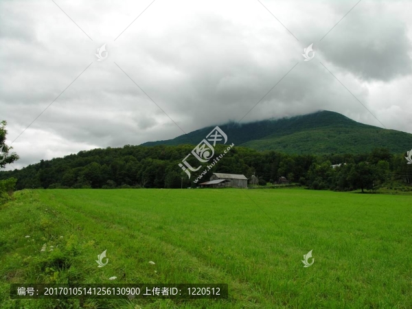 山上的農(nóng)場(chǎng)。