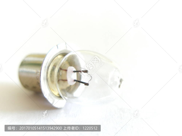 電燈泡