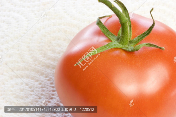 番茄