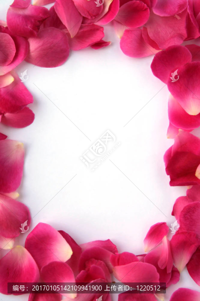 花瓣框架
