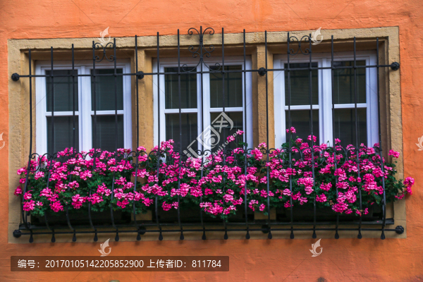 窗戶與花