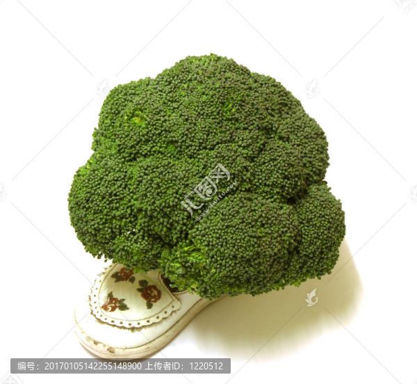 西蘭花