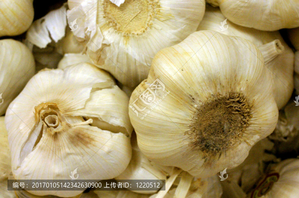 大蒜