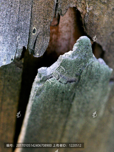 風(fēng)化的Wood