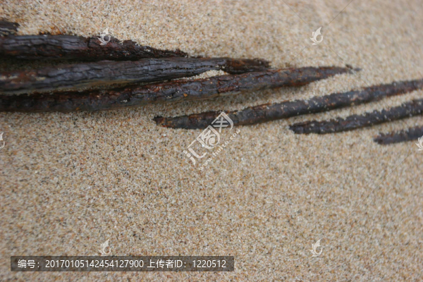 海灘上的沙子與生銹的金屬電纜段