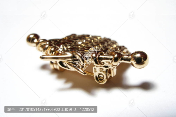 黃金；鍍金；珠寶；豐富；宏觀；昂貴；黃色