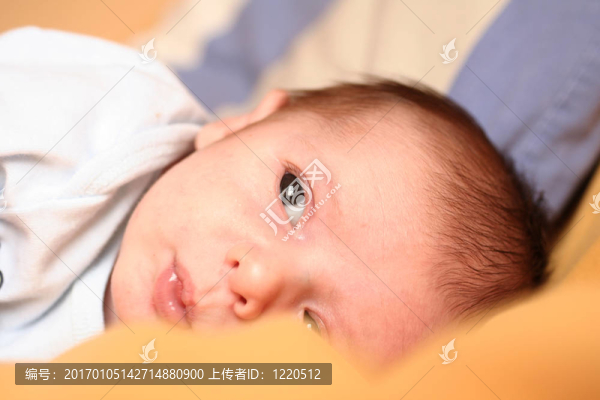 新生的夢想