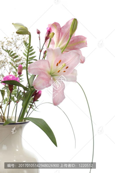 一束百合花
