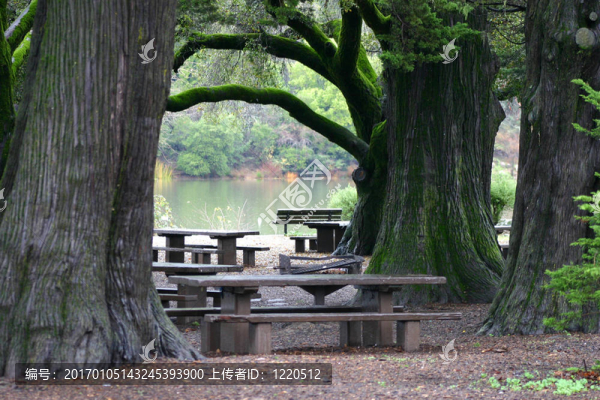 野餐的地方