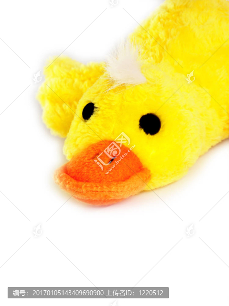 鴨