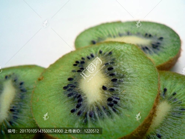 幾維鳥(niǎo)