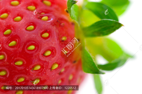 草莓