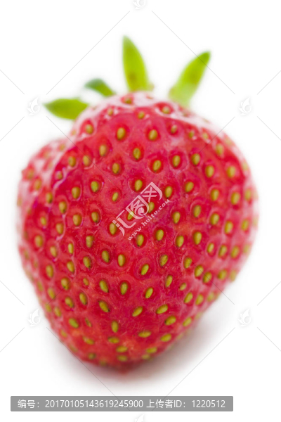 草莓