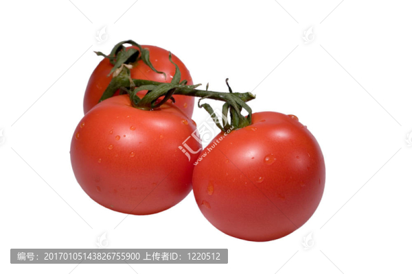 西紅柿