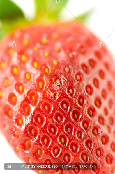 驚人的Strawberry,5