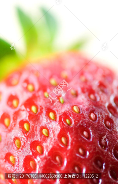 驚人的Strawberry,6
