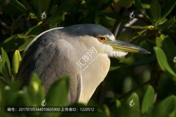 懷疑論者-匯圖網(wǎng) www.fosd68.com 懷疑論者