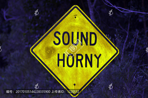 健全的角質(zhì)