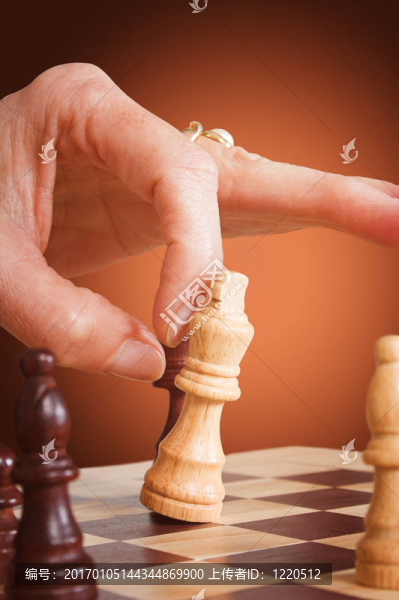 商業(yè)競爭-國際象棋