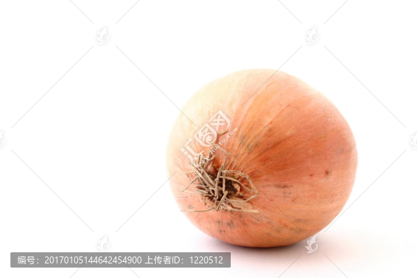 洋蔥白