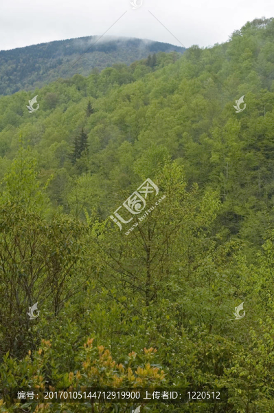 jw_029_037_05