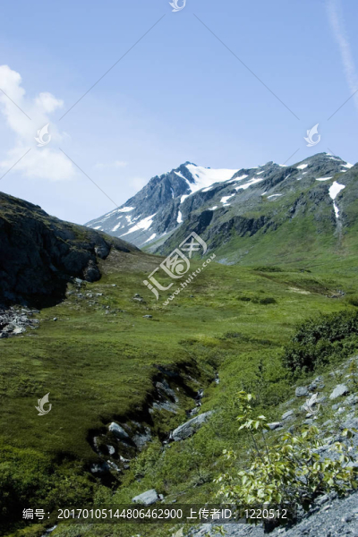 小山谷-匯圖網(wǎng) www.fosd68.com 小山谷