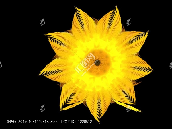 水仙花