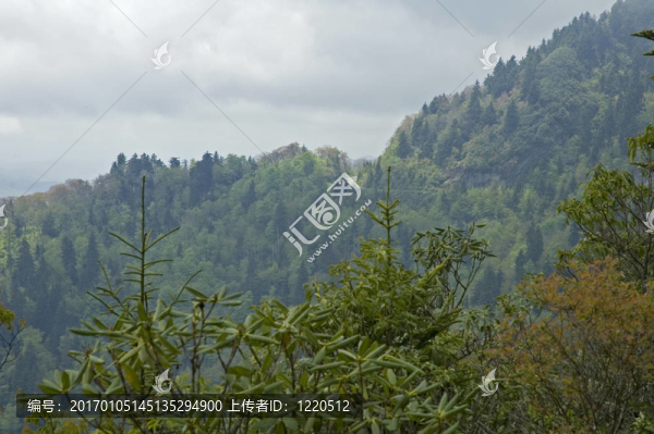 jw_029_090_05