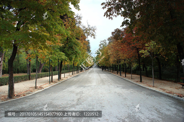 公園的小徑