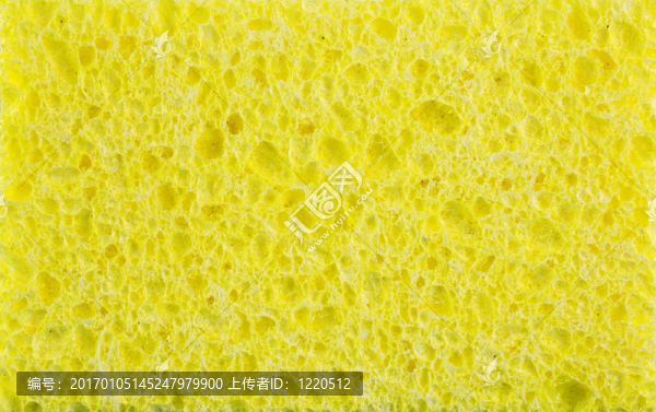 黃色的海綿