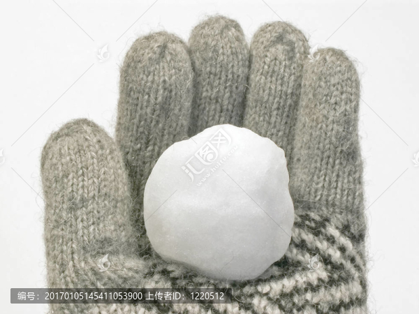 雪球在手套