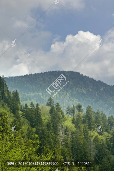 jw_033_095_05