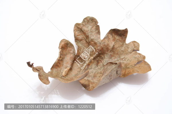 奧克里夫