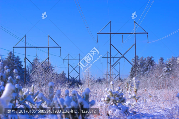 電源線