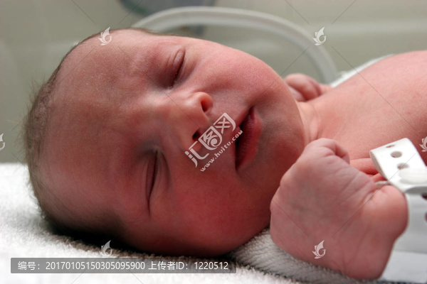 新出生的嬰兒