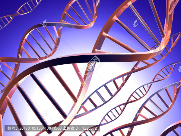 DNA,1