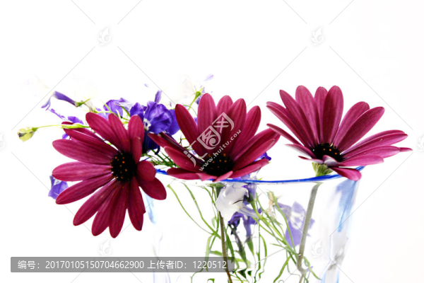 flowers3