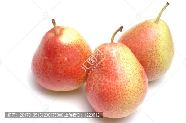 三Forelle梨