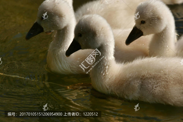 三