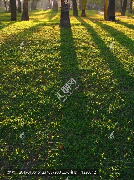 午后太陽投射陰影