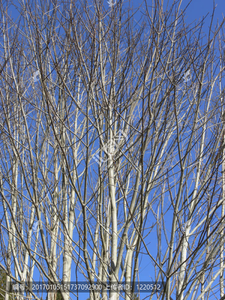 藍(lán)色的天空-匯圖網(wǎng) www.fosd68.com 藍(lán)色的天空