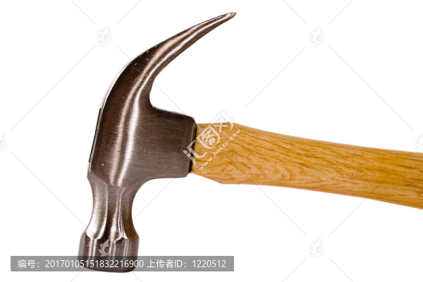 山核桃的羊角錘