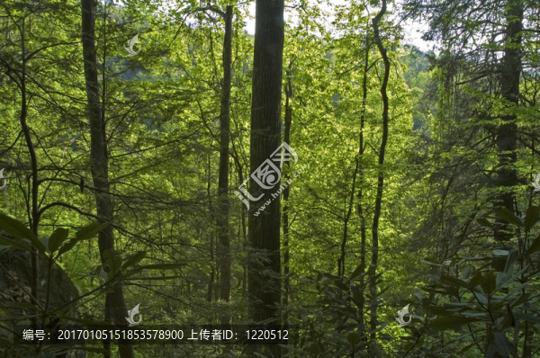 jw_021_102_05