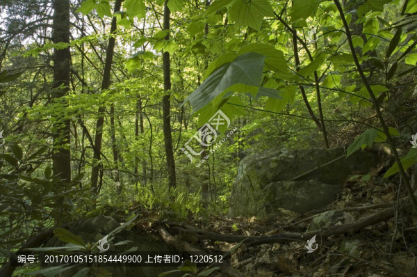 jw_021_105_05