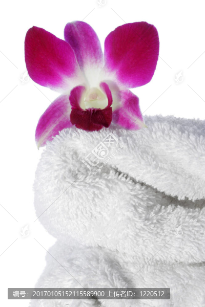 蘭花的毛巾