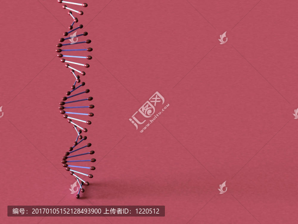 DNA