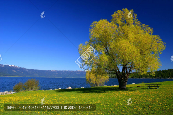 在湖的下